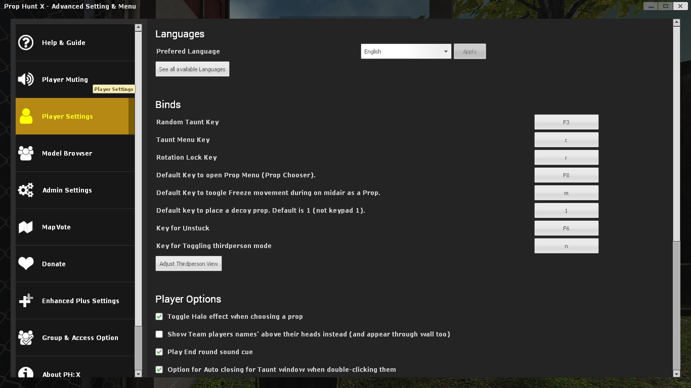 Player Settings Section