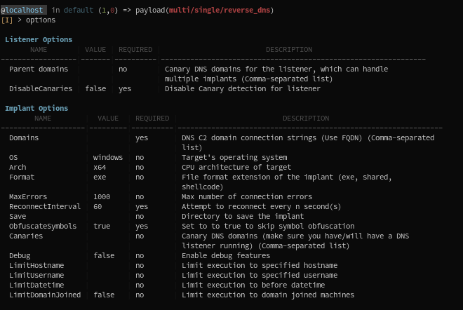 DNS-Module